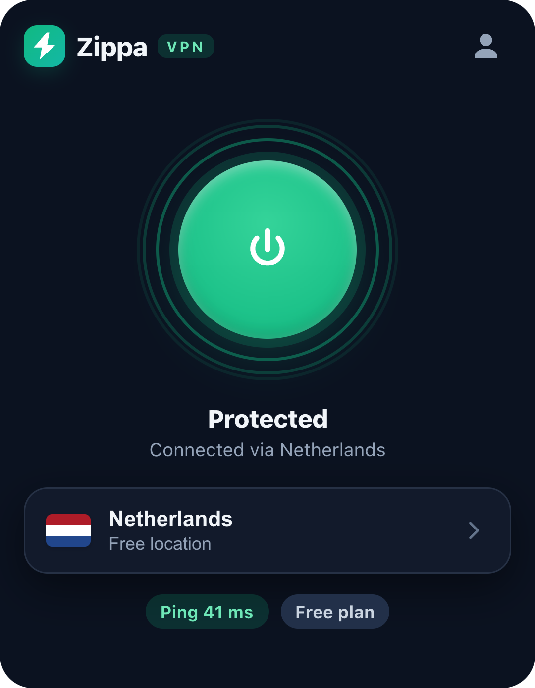 Zippa VPN Chrome extension popup connected via the Netherlands, showing the green power toggle, Protected status and live ping.